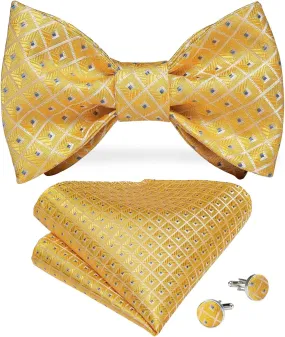 Men's Bow Tie Self Tie Silk Bowties Fashion Wedding Party Paisley Bowknot Tie Set Hanky Cufflink